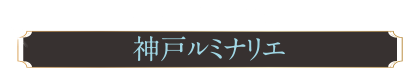 神戸の夢と希望の象徴『神戸ルミナリエ』