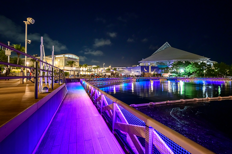 八景島シーパラダイス：2