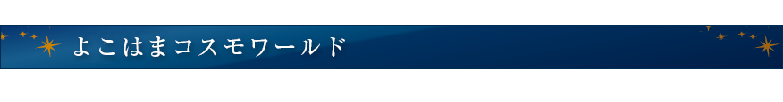 よこはまコスモワールド