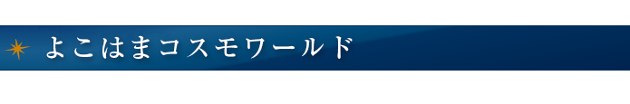 よこはまコスモワールド